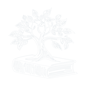 Creștere conștientă în educație / Concious growth in education