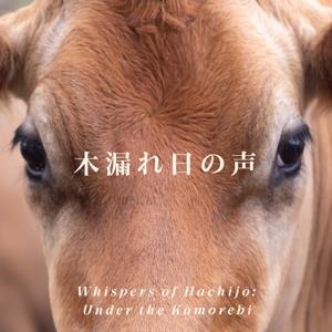 木漏れ日の声 Whispers of Hachijō : Under the Komorebi