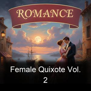 Female Quixote Vol. 2
