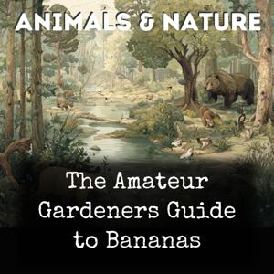 The Amateur Gardeners Guide to Bananas