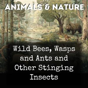 Wild Bees, Wasps and Ants and Other Stinging Insects