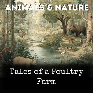 Tales of a Poultry Farm