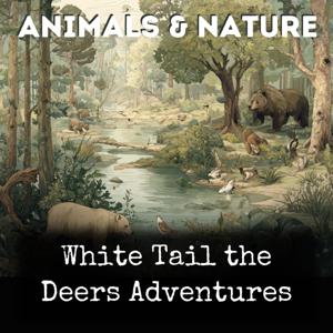 White Tail the Deers Adventures