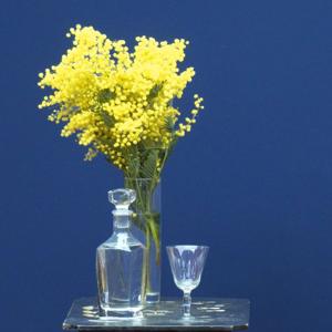 Ouvrir son cœur - Les pratiques pour s'ouvrir à la santé fondamentale - 2026