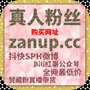 用更稳更可控的执行节奏实现流量提升,让内容在推荐机制中被长期识别