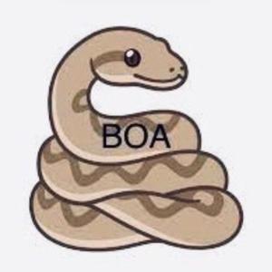 BOA