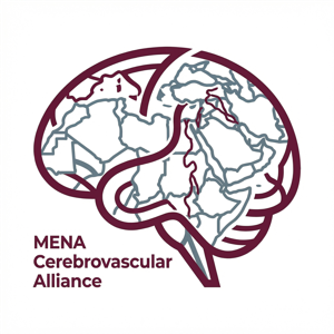 The MENA Cerebrovascular Alliance