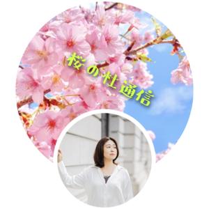 桜の杜通信 : 臨床心理士との優しい時間