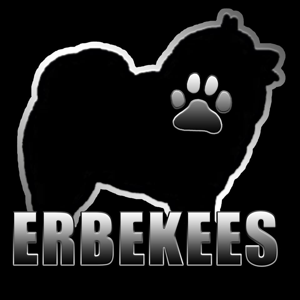 The Erbekees Experience