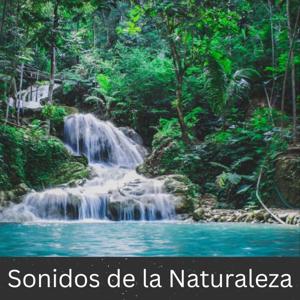 Sonidos de la Naturaleza