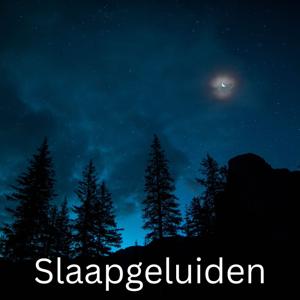 Slaapgeluiden