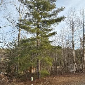 The Deep Dive -Adventure Series