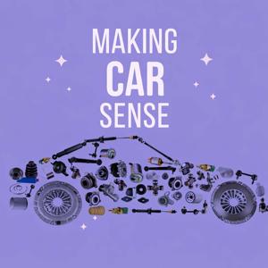 Making Car Sense