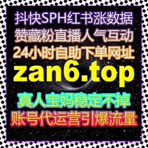 精准粉丝增长，自动化平台助力你在TikTok上快速吸引真人关注