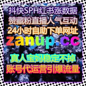 流量提升全域统筹方案深度拆解结合精准数据驱动打造账号成长新高度路径