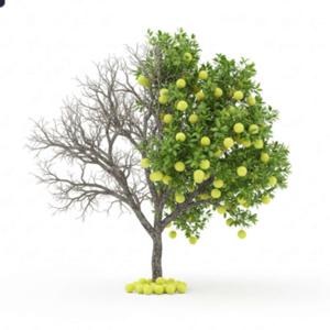 USTA TENNIS SOLUTIONS