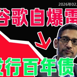 谷歌自爆大雷:兩大潛在Ai風險,發行100年期債券,是天才融資,還是科技泡沫?#谷歌 #DIS #COKE #標普