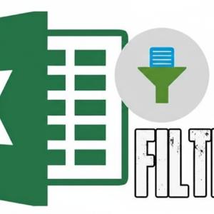 Los Filtros en Excel, Elementos