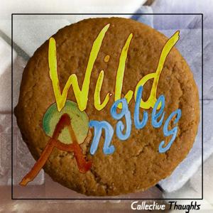Wild Angles