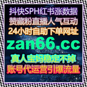 在线全自动下单系统构建稳定运营体系，提升账号管理与数据处理效率
