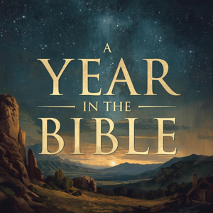 A Year In The Bible