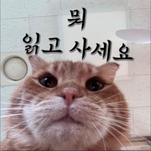 뭐읽사: 뭐 읽고 사세요