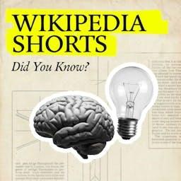 Wikipedia Shorts: Did You Know?