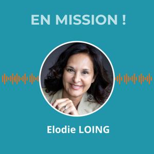 En mission ! Les chroniques du management de transition