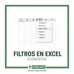 Los Filtros en Excel, Elementos
