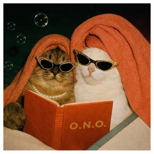 Orada Neler Oluyor ?