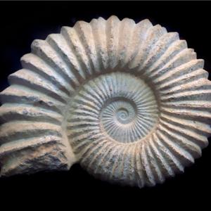 Pó de Cast - Cultura e Património