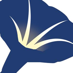 Morning Glory Bible Study