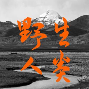 野生人类 Wild Human