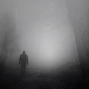 Voci in Cammino: narrazione e analisi di un percorso di affermazione di genere