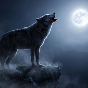 پادکست طاها ظریفی