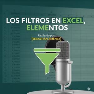 Los Filtros en Excel, Elementos