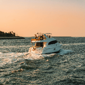 Sails & Stories: Adventures with Palmara Charters