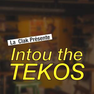 Intou the TEKOS