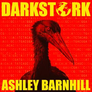 DARKSTORK | Ashley Barnhill