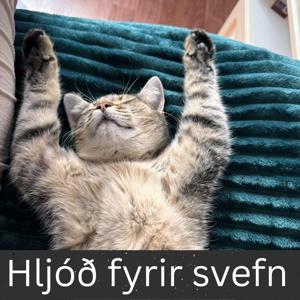 Hljóð fyrir svefn