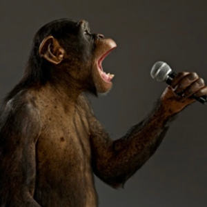 monkey talksss