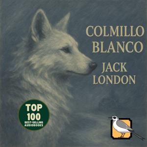 Colmillo blanco