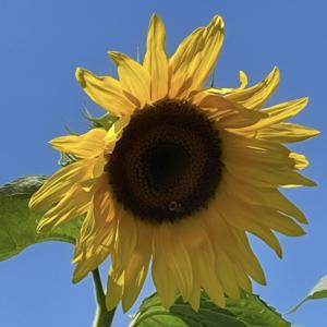 Soul Spot Mindful Moments Podcast