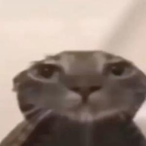 Podcast de Amber Garcia