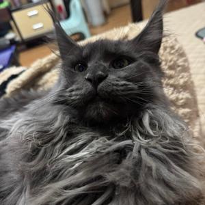 八方斋·路上听 | 网文·时事·科技