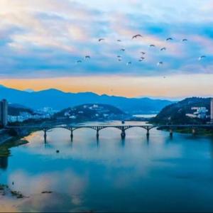 小七的詩與遠方