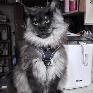 八方斋·吃饭听 | AI·AGI·机器人