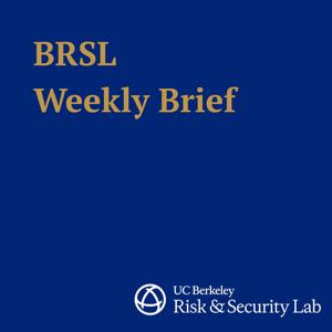 BRSL Weekly Brief