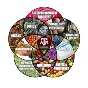 Horticulture Innovators