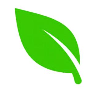 Charging Ahead with Hamer